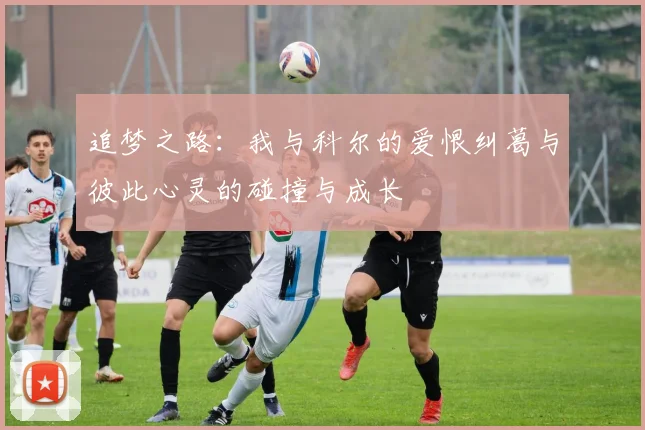 追梦之路：我与科尔的爱恨纠葛与彼此心灵的碰撞与成长